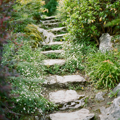 The Best Walkway Pavers to Shape Your Design Foundation