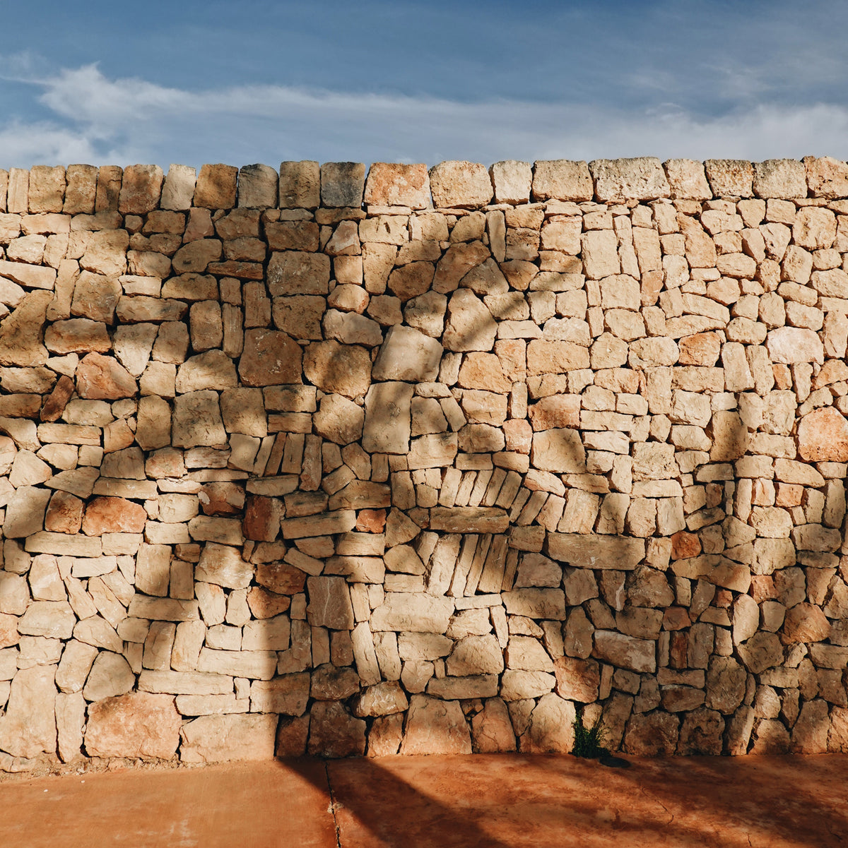shadows of palm tress on a brick wall