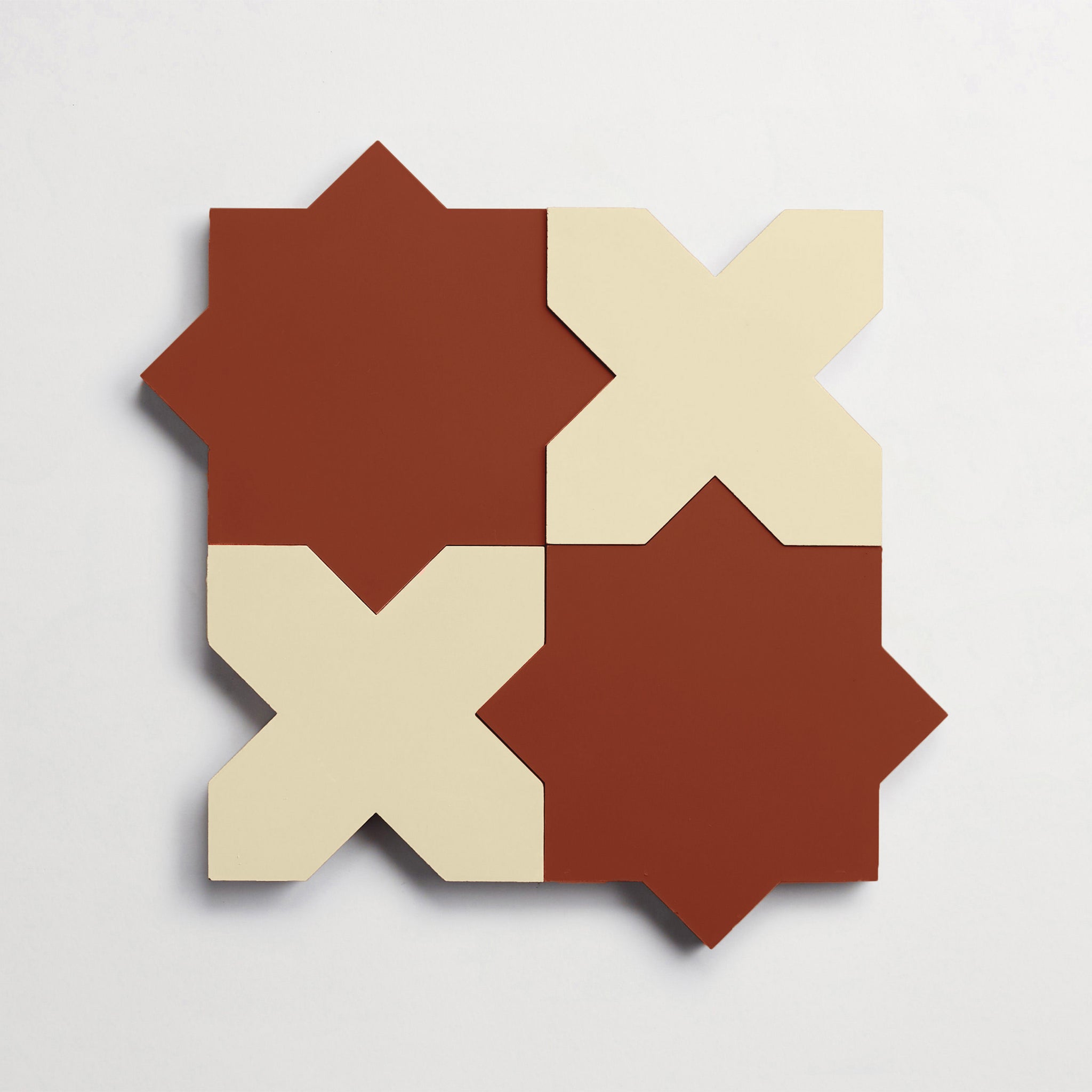 13.flame star-roan cross copy 2.jpg