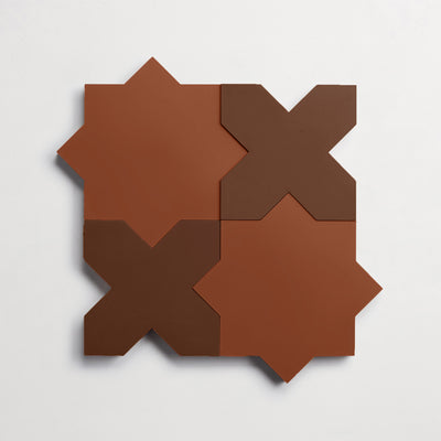 1.star_cross-prune_fig 1st try copy.jpg