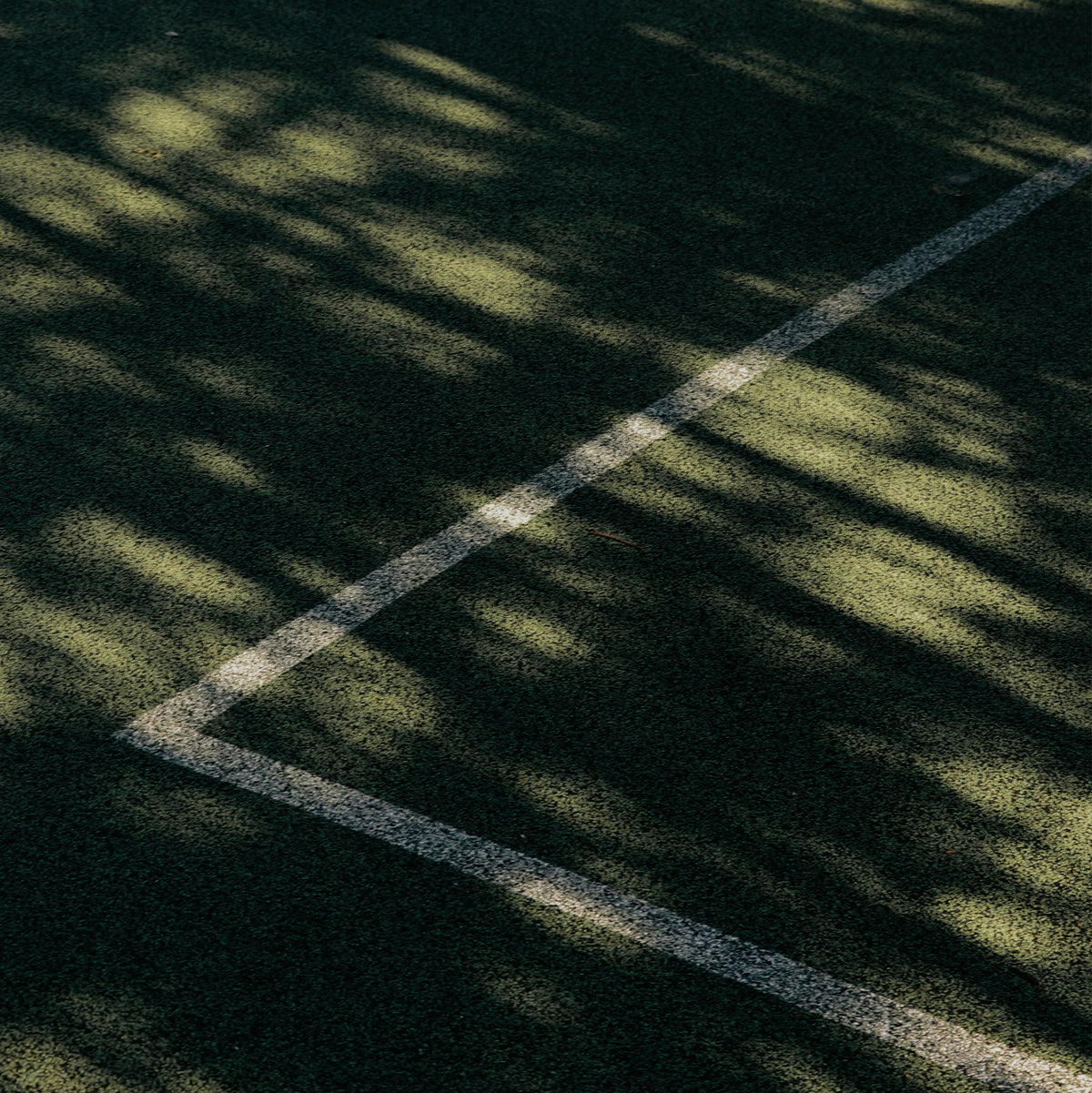 a grass field with shadows of trees