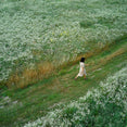 Wander