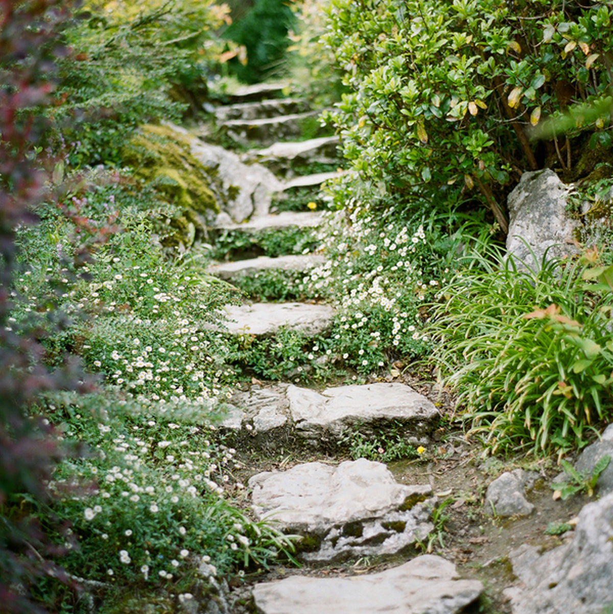 Mood Image - Wander
