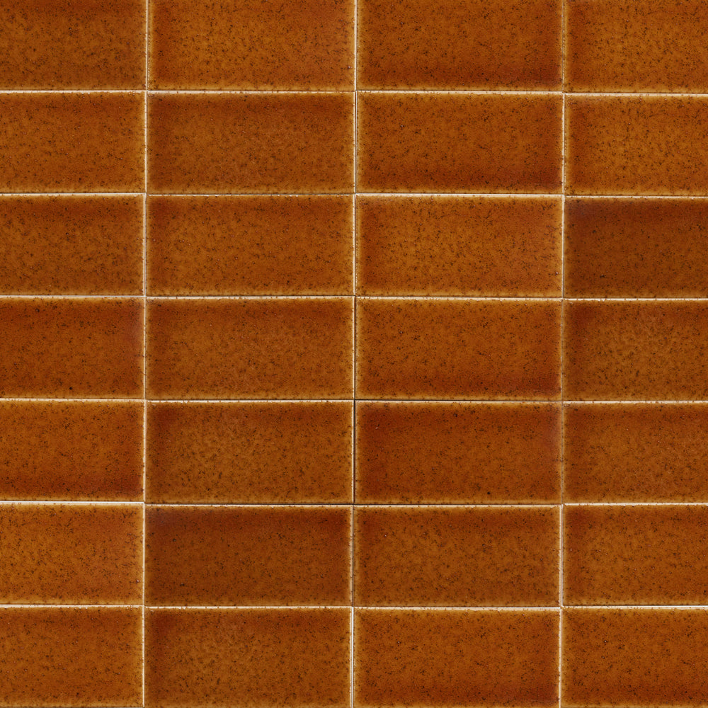 EX0002-Dzek-ExCinere-B-Terra-2x4-grouted wall-300dpi.jpg