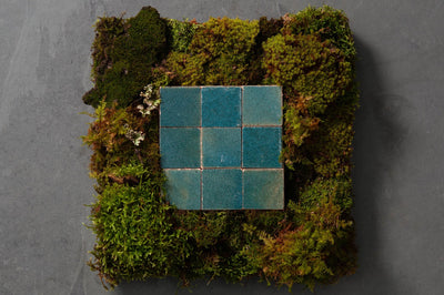 Modern Residential Landscape Design Trends and Ideas