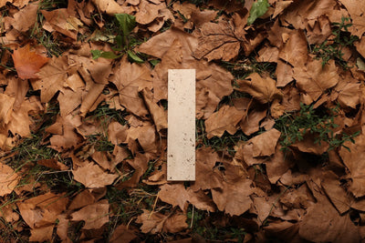 10 Travertine Patio Ideas to Transform the Backyard