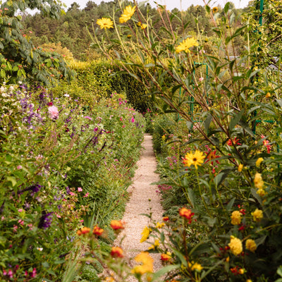 9 Timeless Garden Paving Ideas with Distinctive Style