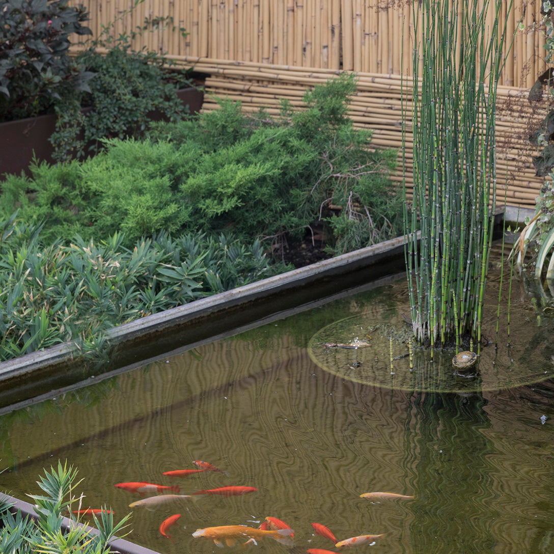 Kenjo Collection Profile - Outdoor Japanese Garden Tile Kenjo Collection Profile - Outdoor Japanese Garden Tile