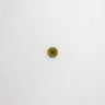 G00023-outer-cle-glass-le-disque-medium-2inch-izarra-green-single-3000x3000-300dpi.jpg