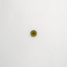 G00023-outer-cle-glass-le-disque-medium-2inch-izarra-green-single-3000x3000-300dpi (1).jpg