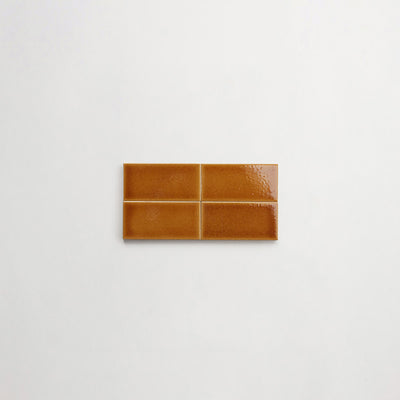 EX0001-Dzek-ExCinere-A-Terra-2x4-4up-thumbnail.jpg