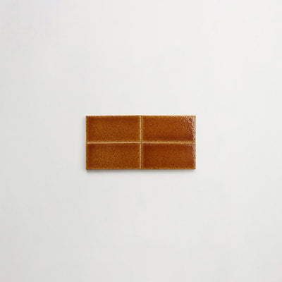 EX0002-Dzek-ExCinere-B-Terra-2x4-4up-thumbnail.jpg